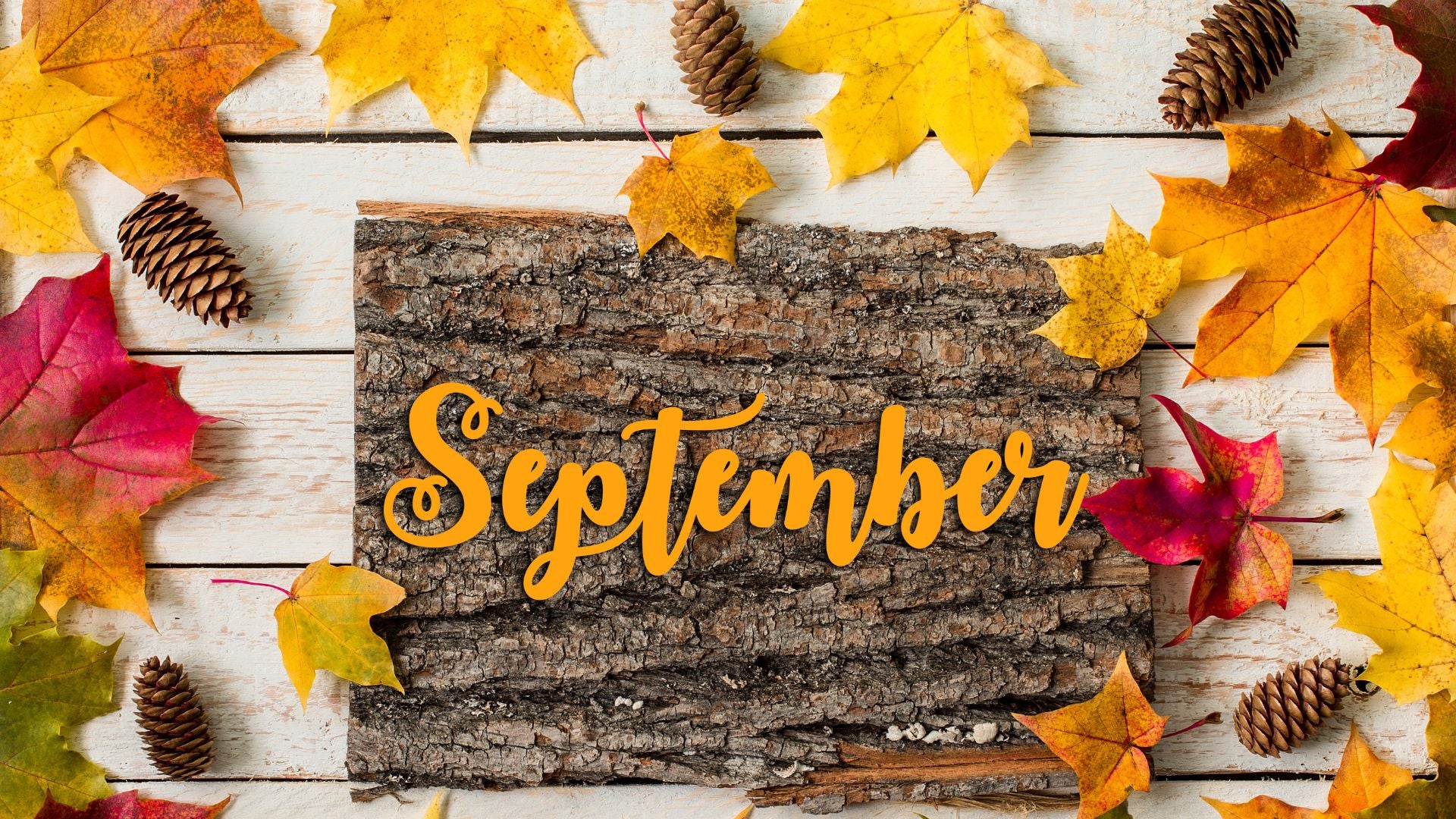 Month of September Image