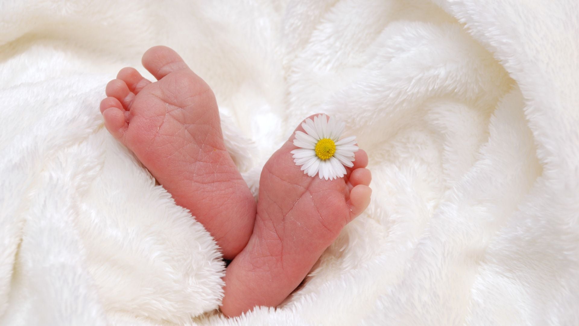 Fun Facts About May Babies