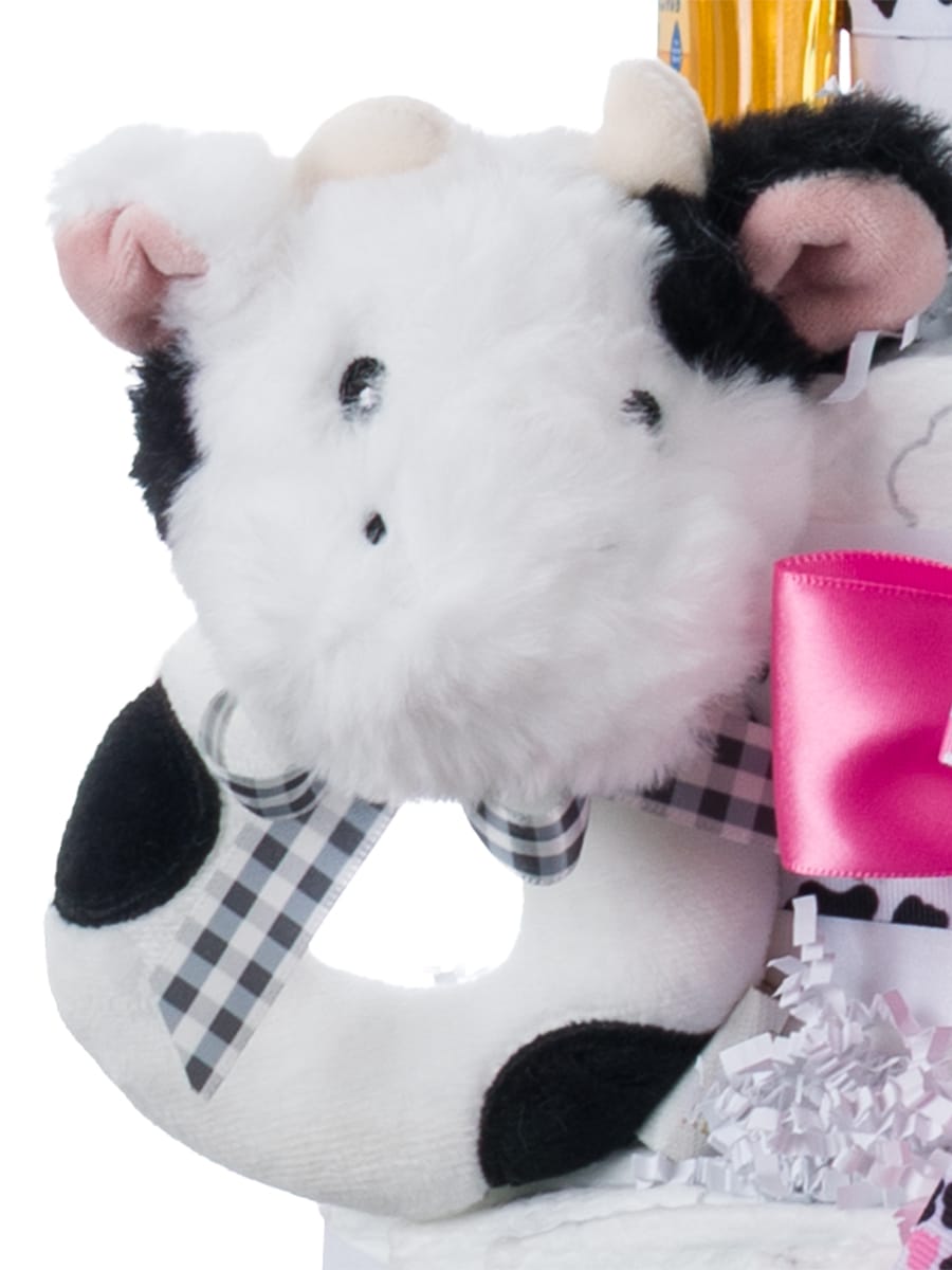 Lil' Baby Cakes Cow Girl Baby Diaper Cake