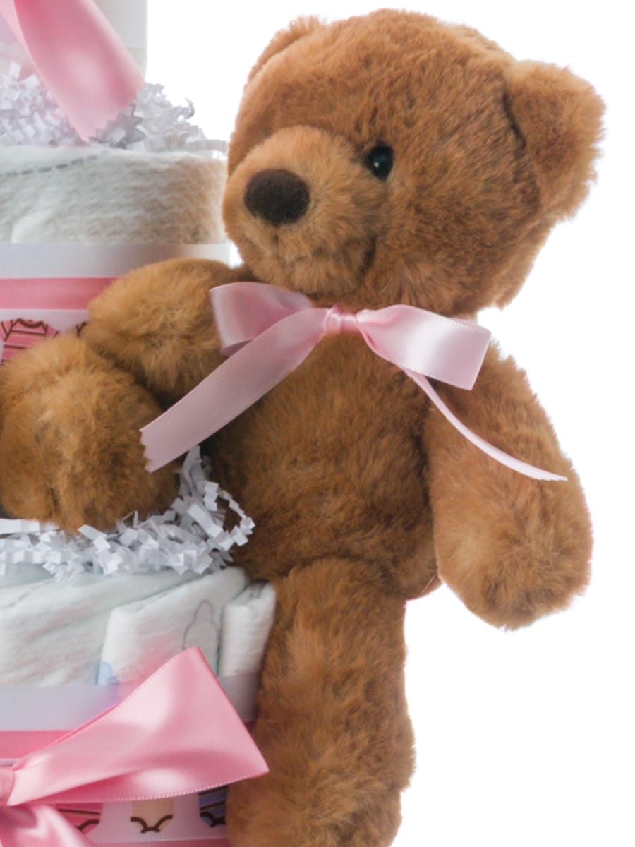 Lil' Baby Cakes Twin Girls Bears Baby Diaper Cake